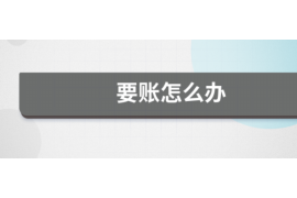 临夏为什么选择专业追讨公司来处理您的债务纠纷？